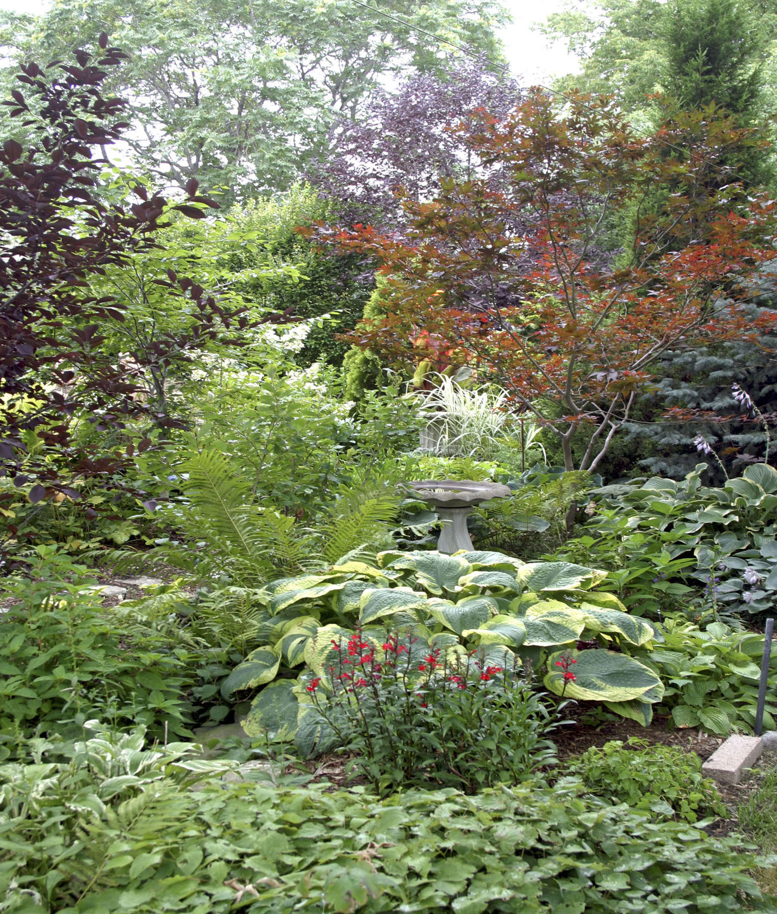 A Milwaukee Wisconsin private garden exemplifies outstanding Midwest - photo 1