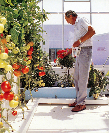 The author Rob Smith inhydroponic glasshouse - courtesy Rosemary Wallace - photo 1