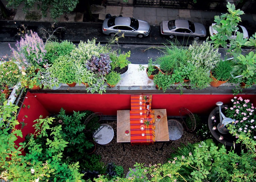 Urban buzz beehives and crops co-exist happily on a city rooftop From simple - photo 6