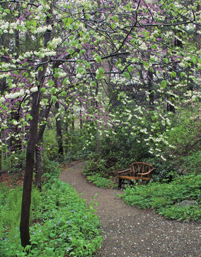 Garden in the Woods home of the New England Wild Flower Society with - photo 8