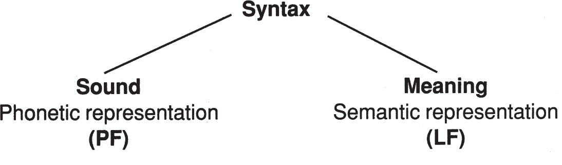 What is the nature of the bridge between sound and meaning and how does a - photo 5