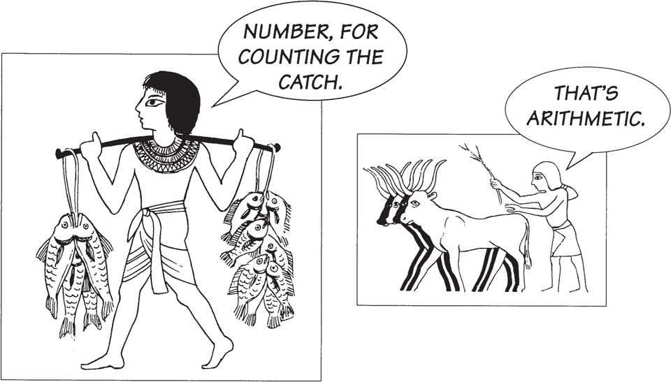 NUMBER FOR COUNTING THE CATCH THATS ARITHMETIC AREAS OF LAND UNDER - photo 6