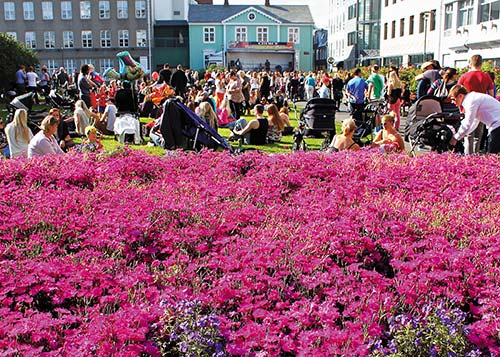 a park near the Alingishsi Though Reykjavk is small its energy mimics that of - photo 11