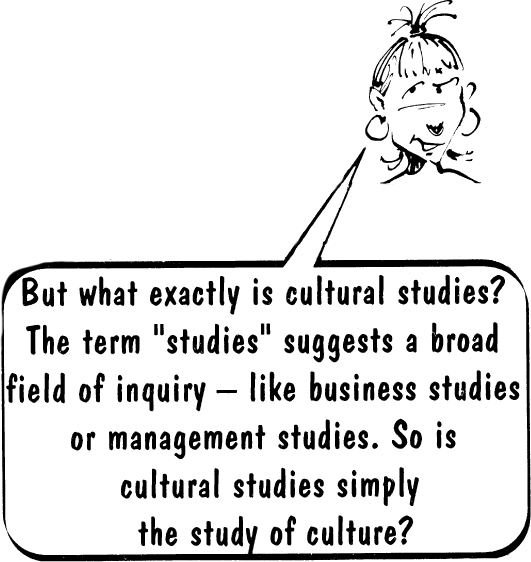 But what exactly is cultural studies The term studies suggests a broad field - photo 2