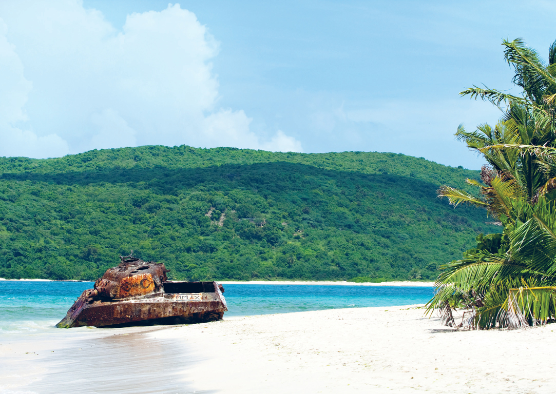 CDLUTEZ LONELY PLANET IMAGES Green Island Beach Green Island Antigua - photo 6