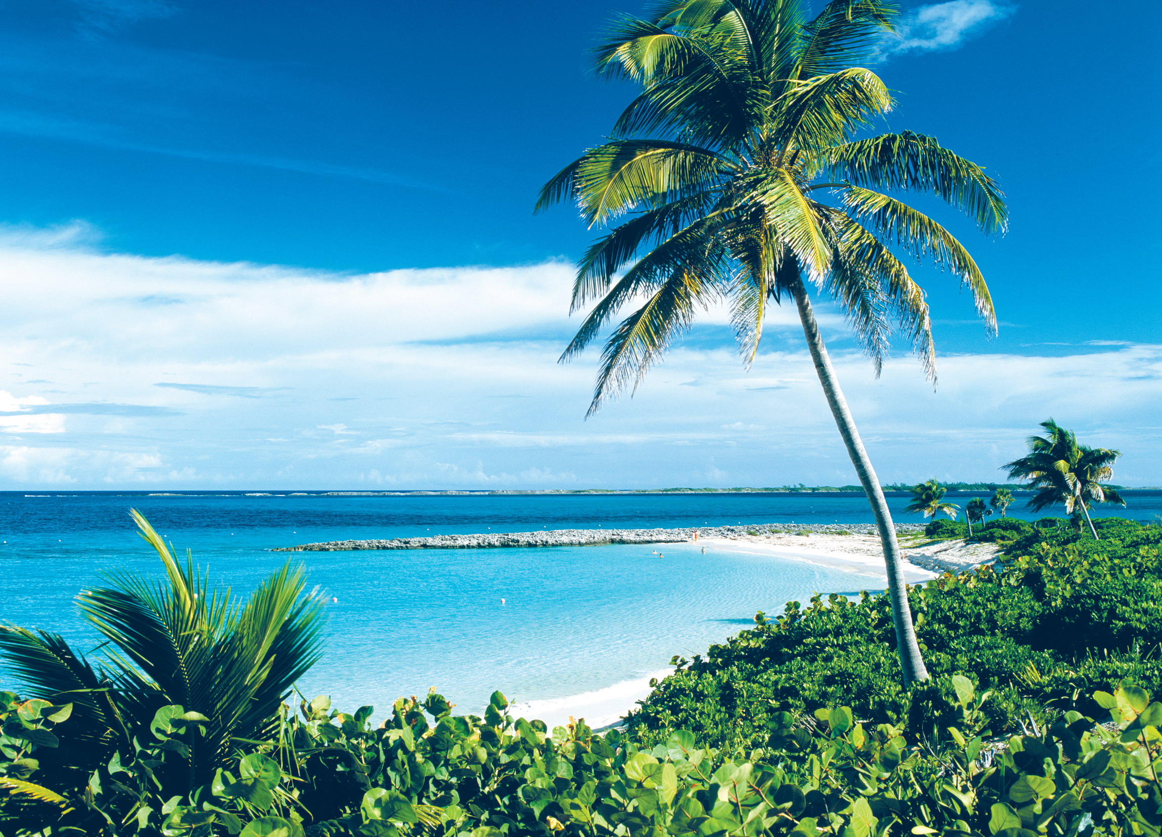 IAN CUMMING GETTY IMAGES Crane Beach Barbados WILL I SEE A CRANE THEYRE SO - photo 4