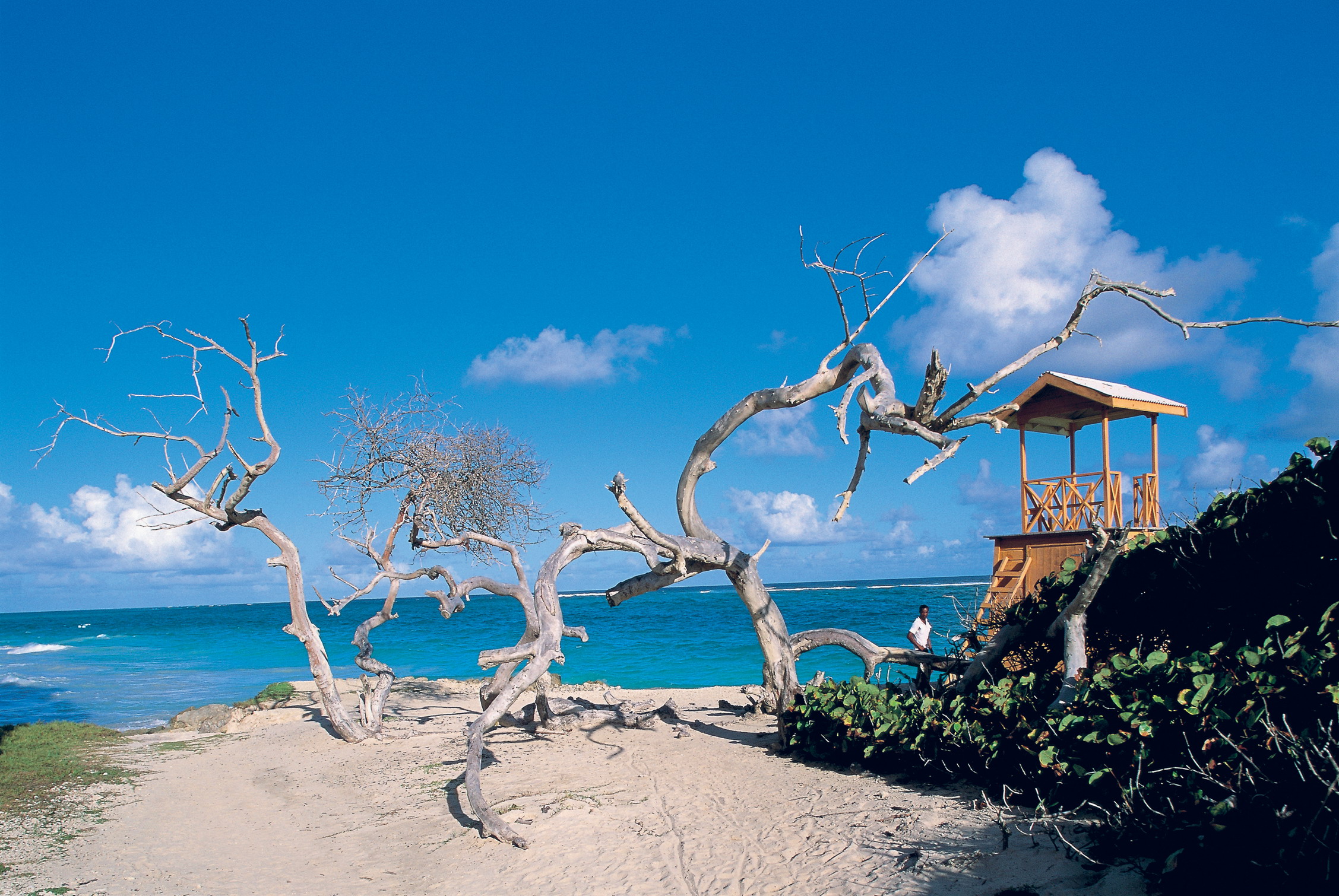 DE AGOSTINI GETTY IMAGES Flamenco Beach Culebra Puerto Rico I FEEL LIKE - photo 5