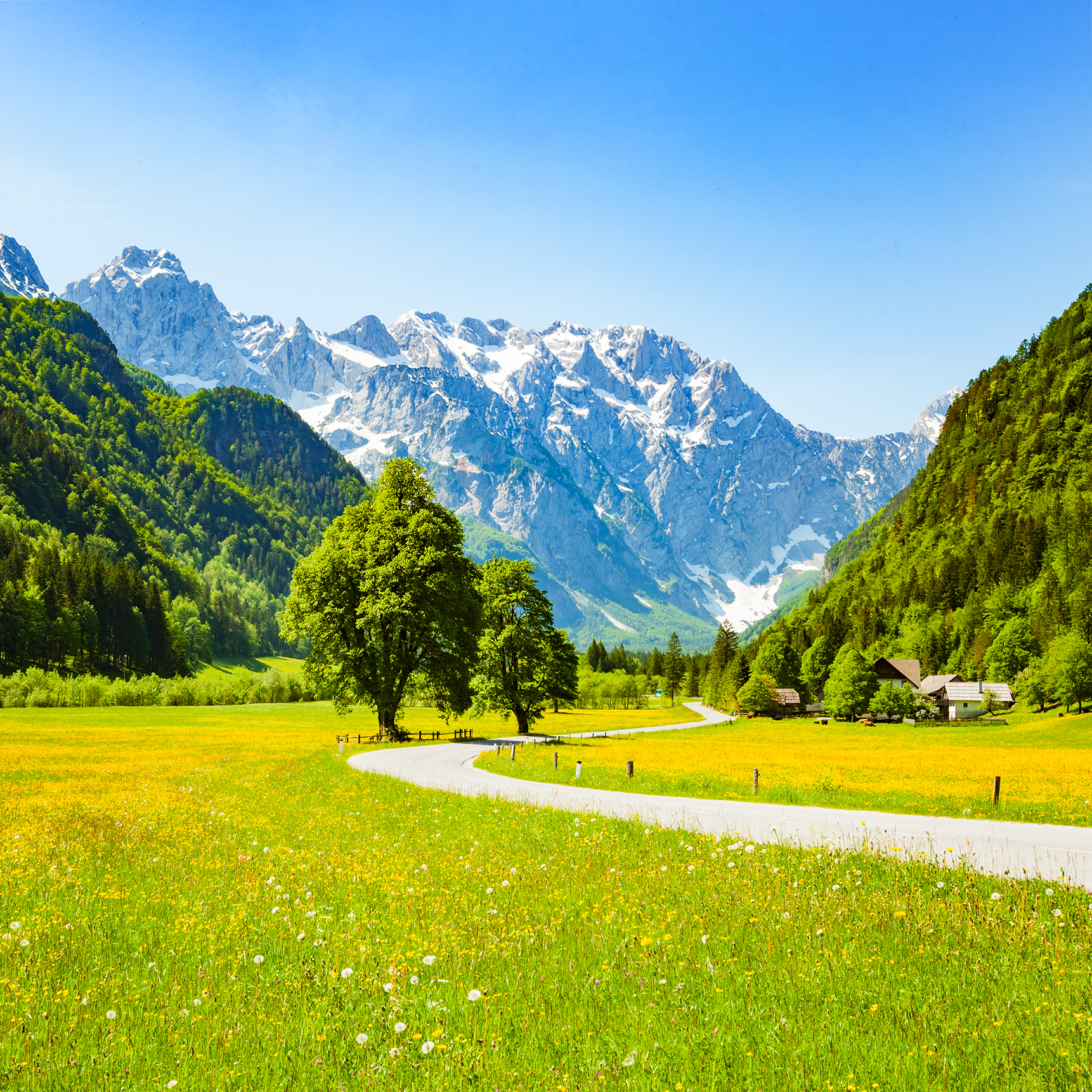 Logarska Dolina MbbirdyGetty Images Why I Love Slovenia By Steve Fallon - photo 8