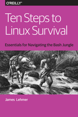 James Lehmer - Ten Steps to Linux Survival: Essentials for Navigating the Bash Jungle