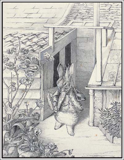 A rabbit sets off to garden later adapted for Peter Rabbits Almanac for 1929 - photo 8