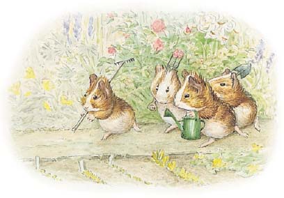 Guinea pigs gardening from Cecily Parsleys Nursery Rhymes For Kirke - photo 3