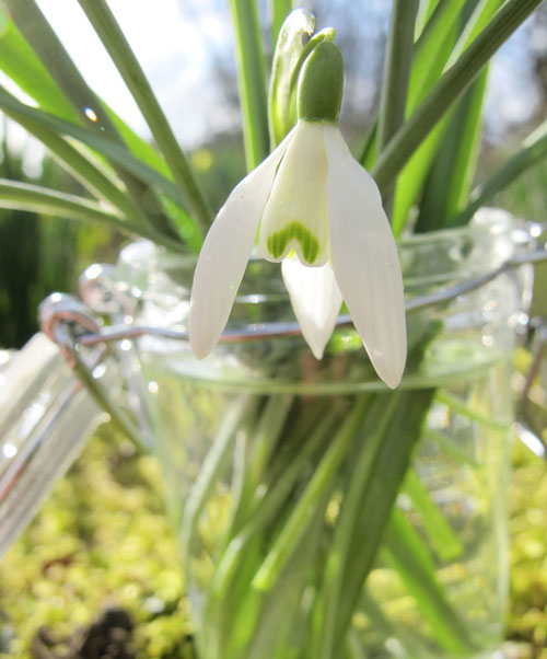 A green-and-white posy my childhood valentine They are also pleasantly - photo 2