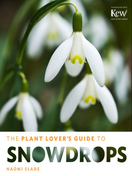 Naomi Slade - The plant lover’s guide to snowdrops