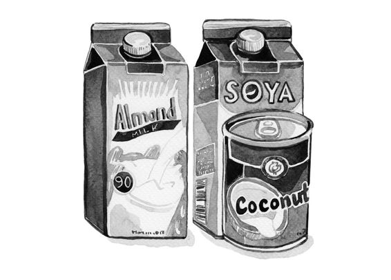 Several types of coconut milk products are on the market Both full-fat and - photo 5