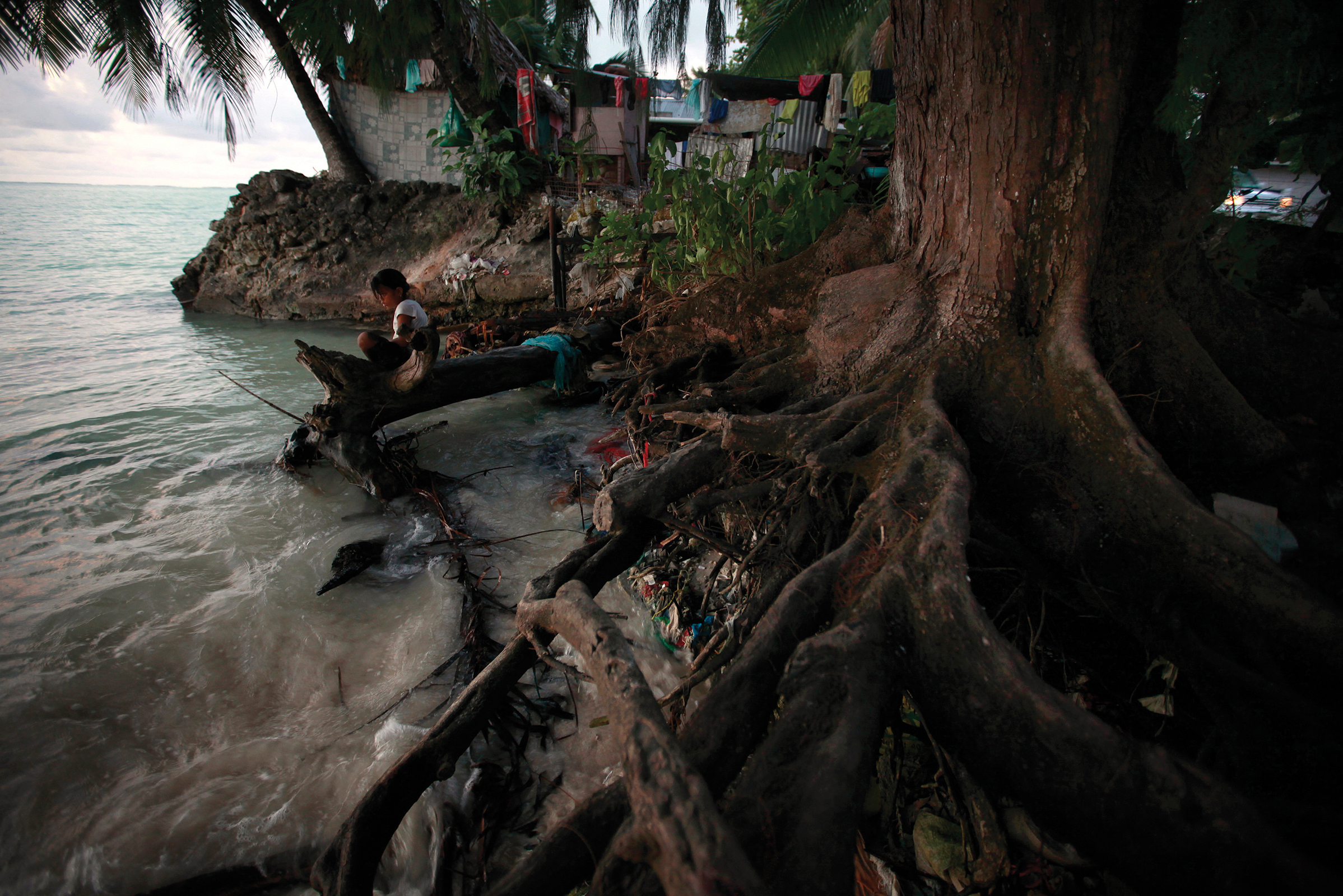 In the Pacific island nation of Kiribati tree roots are exposed due to erosion - photo 1