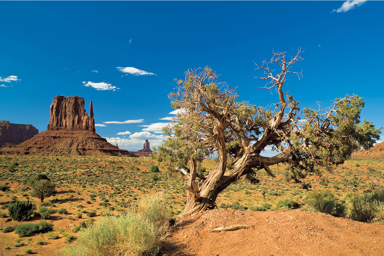 Monument Valley The backdrop of countless Western movies this is one of the - photo 5