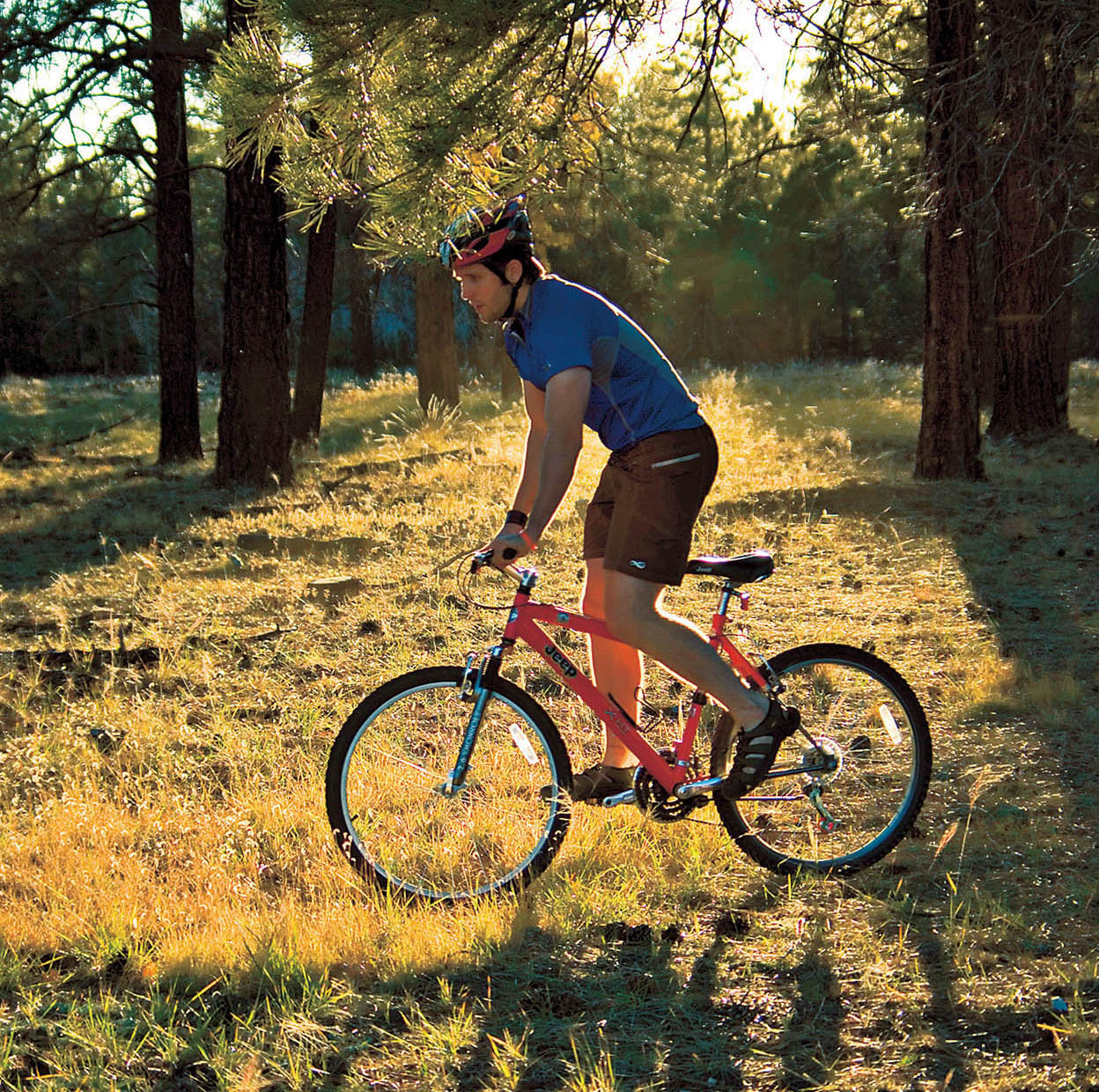 White Mountains Sun-baked Arizonans escape to the cool forests and leaping - photo 10