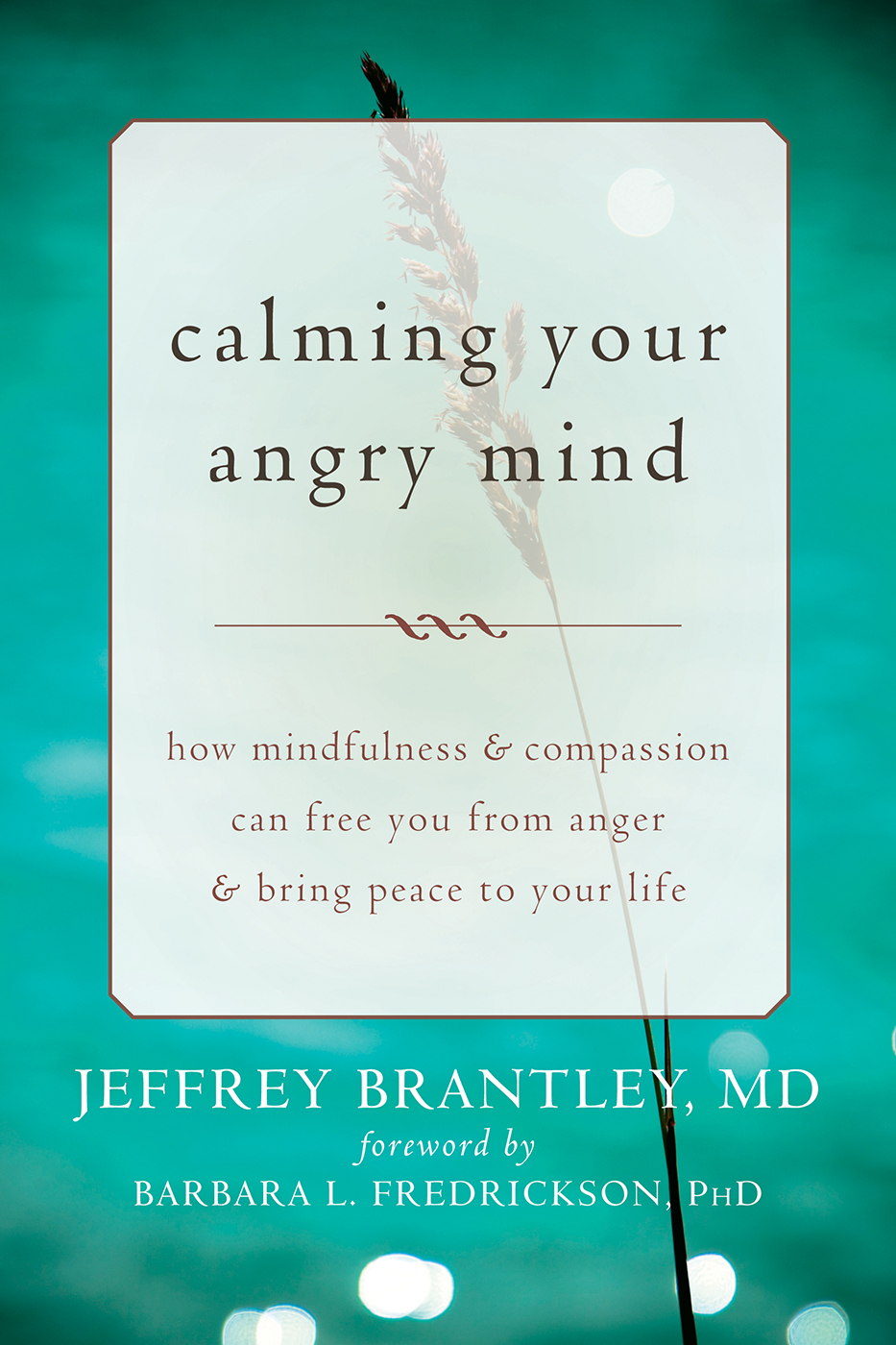 Jeffrey Brantley MD DFAPA has practiced mindfulness meditation for over - photo 1