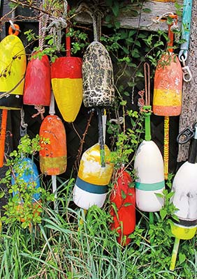 buoys Monhegan Island Cape Neddick Light From the glacier-scou - photo 7