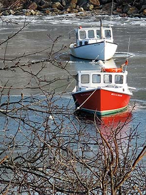 lobster boats in Rockport Harbor Beachcroft Path Campobello sunset Lobs - photo 10