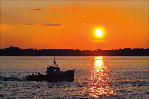 Campobello sunset Lobster of course is king and Maines seafood is ultra - photo 12