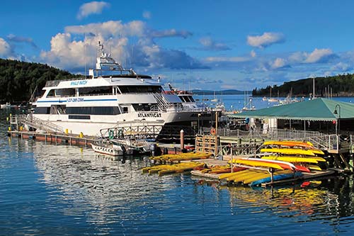 Whale-watching cruises and kayaking trips depart from Bar Harbors waterfront - photo 16