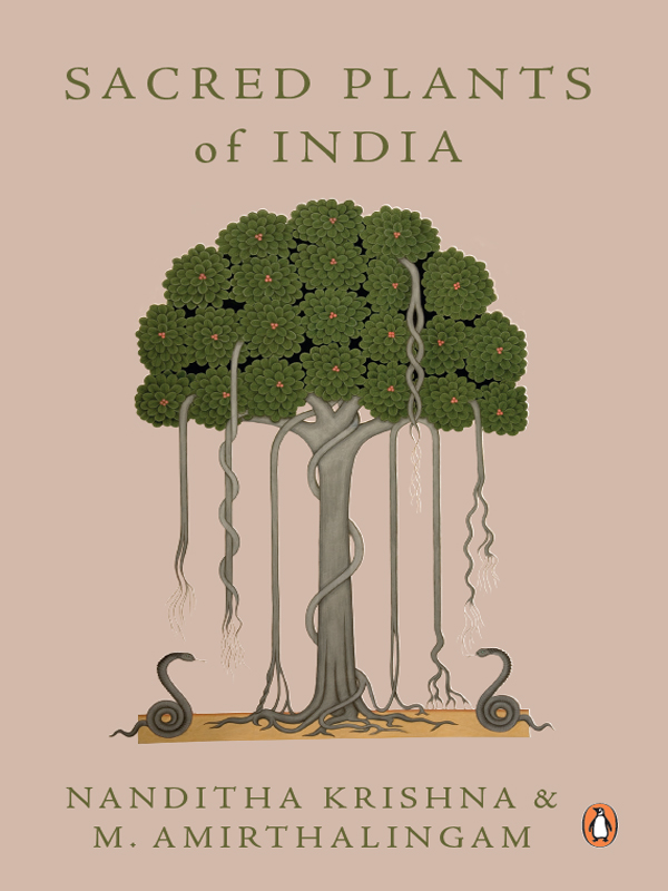 Sacred Plants of India - image 3