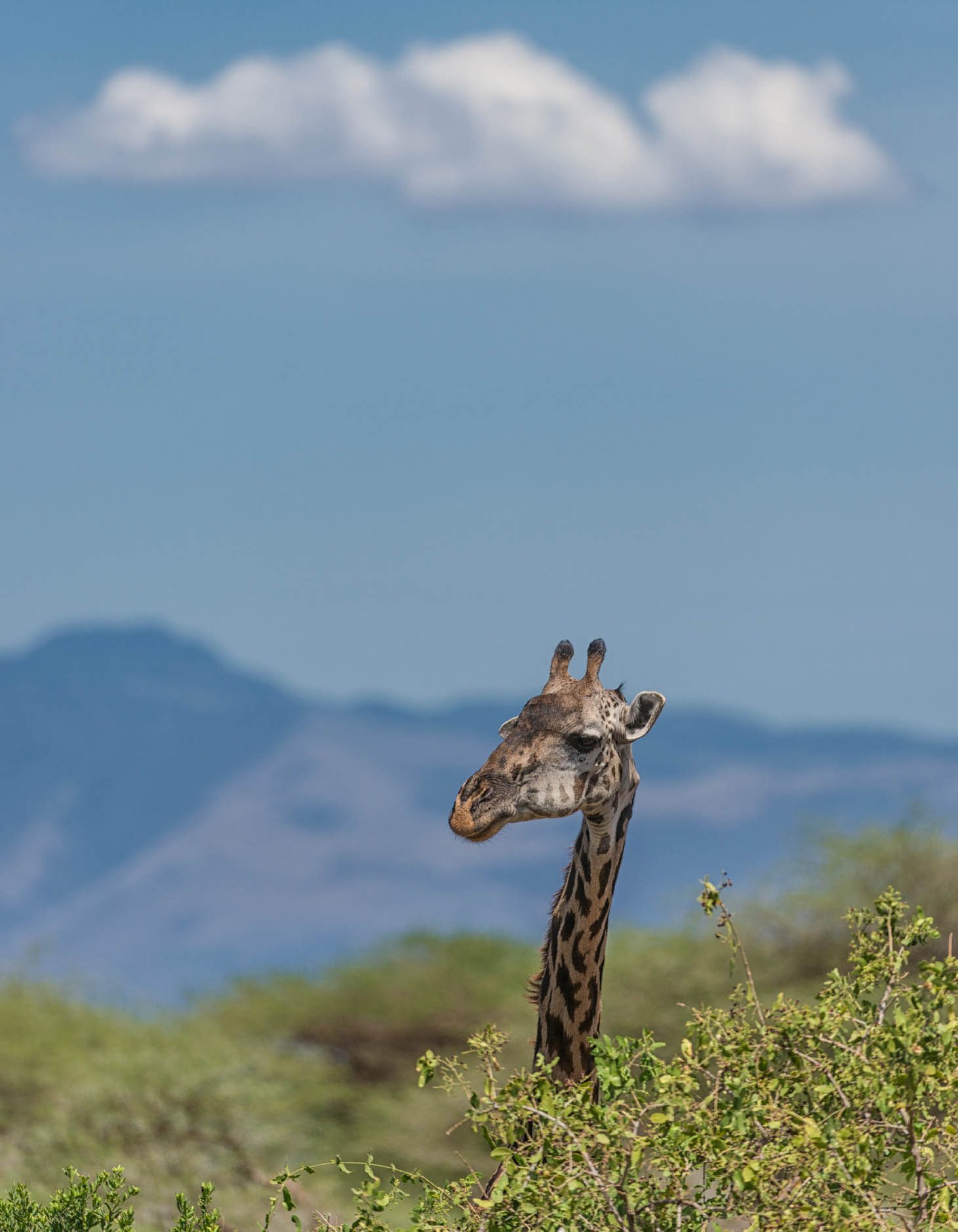 About the Author Mike Hagen is an avid adventurer who combines his passion for - photo 2