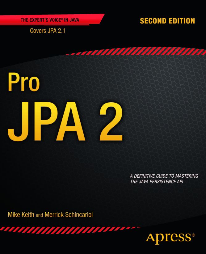 Pro JPA 2 - image 1