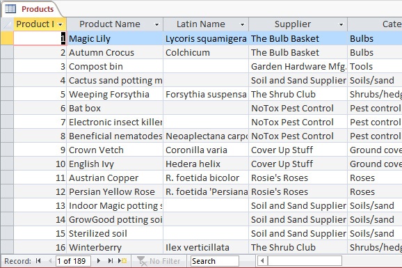 Forms Queries - photo 1