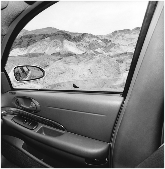 Lee Friedlander courtesy Fraenkel Gallery San Francisco L ANGUAGE AND - photo 3