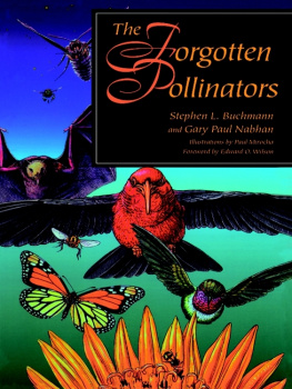 Stephen L. Buchmann - The Forgotten Pollinators