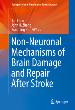 Jun Chen - Non-Neuronal Mechanisms of Brain Damage and Repair After Stroke