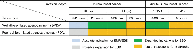 Fig 11 Absolute indication for EMRESD and expanded indications for ESD - photo 1
