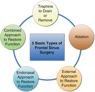 Fig 12 Historical types of frontal sinus surgery Permission granted by the - photo 2