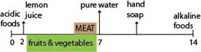 Fig 12 General pH scale How fast and low pH drops depends on the - photo 3