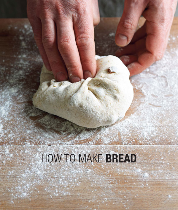 How to Make Bread Step-by-step recipes for yeasted breads sourdoughs soda breads and pastries - image 1