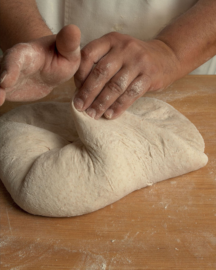 CONTENTS INTRODUCTION INGREDIENTS FOR FINE BREAD BAKING EQUIPMENT FOR - photo 6