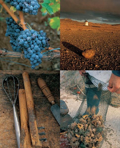 CLOCKWISE FROM UPPER LEFT Grapes in Priorat Catalonia an old windmill - photo 2