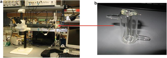 Fig 1 a In vitro muscle physiology system and b custom 12 ml organ - photo 1