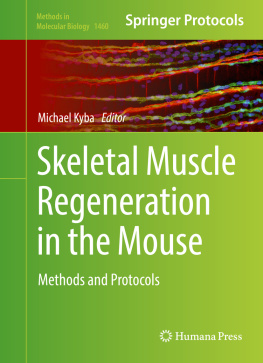 Michael Kyba - Skeletal Muscle Regeneration in the Mouse: Methods and Protocols
