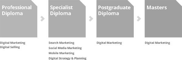 The Digital Marketing Institutes Certification Roadmap This provides a - photo 2