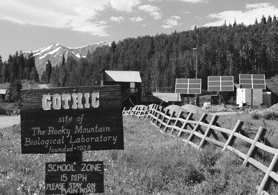 Gothic Colorado site of Rocky Mountain Biological Laboratory M C Tobias - photo 2