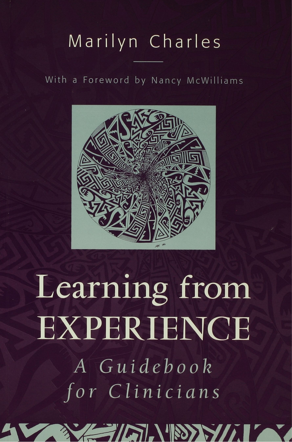 LEARNING FROM EXPERIENCE Learning From Experience A Guidebook For Clinicians - photo 1