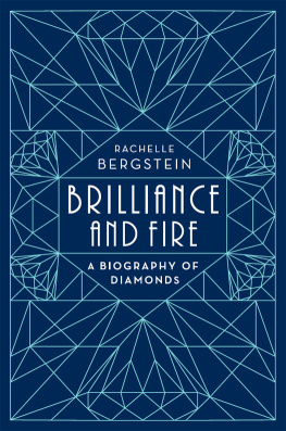 Rachelle Bergstein Brilliance and Fire: A Biography of Diamonds