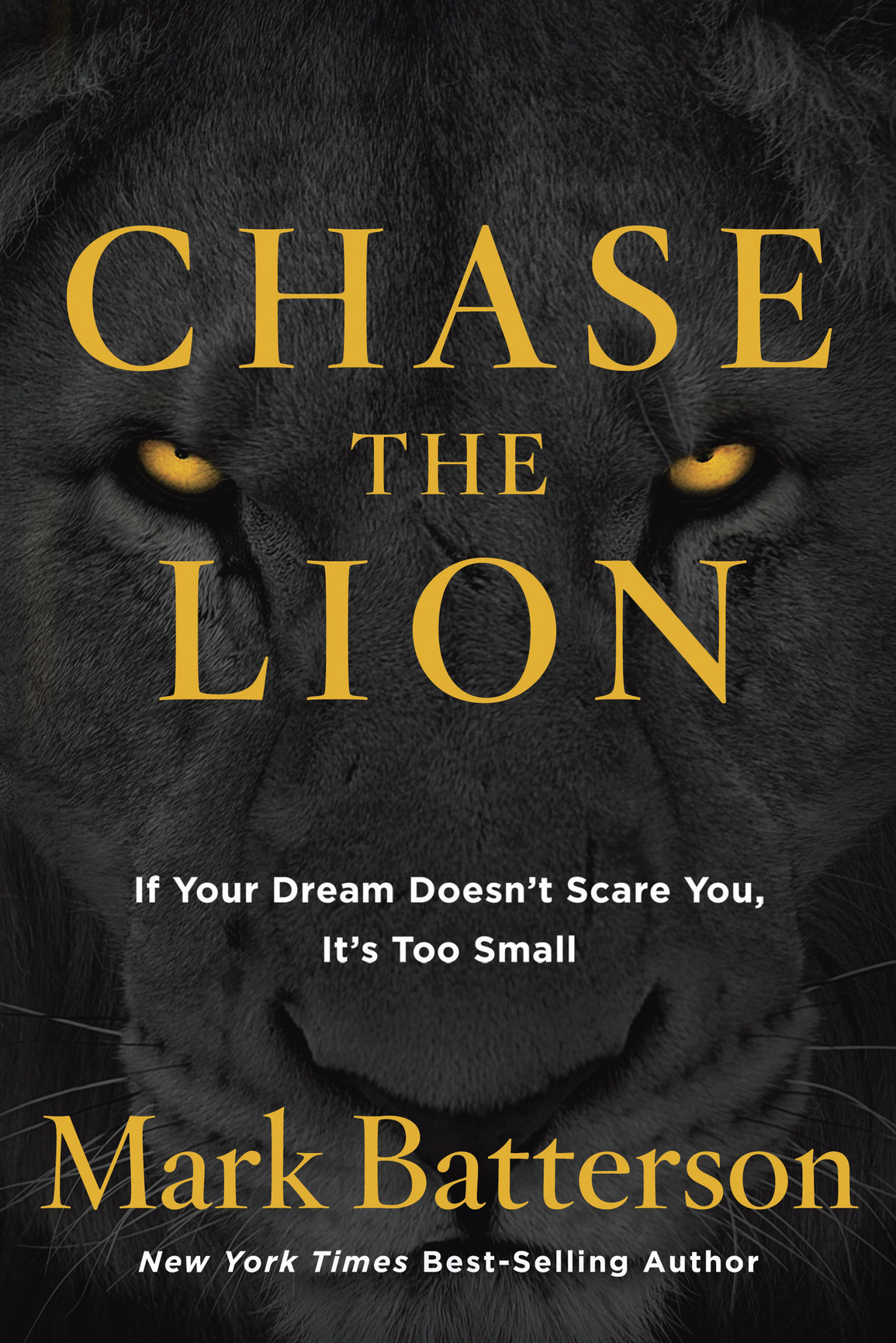Praise for Chase the Lion Chase the Lion is a powerful passionate and - photo 1