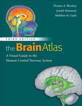 Thomas A. Woolsey - The Brain Atlas: A Visual Guide to the Human Central Nervous System