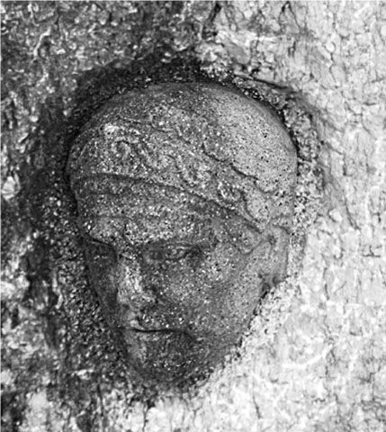 8 Hannibals head as portrayed on a monument in Gebze near Istanbul twentieth - photo 10