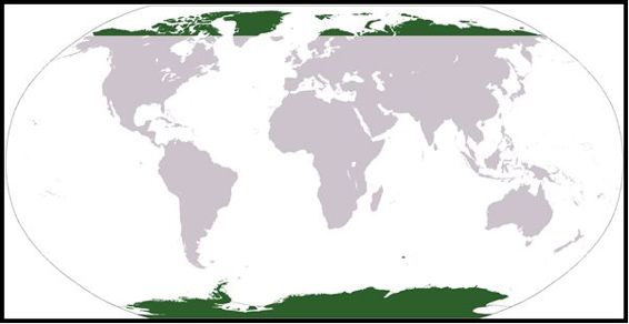 Location of Polar Regions by David Kernow The North Pole is the northernmost - photo 3