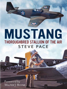 Steve Pace Mustang Thoroughbred Stallion of the Air